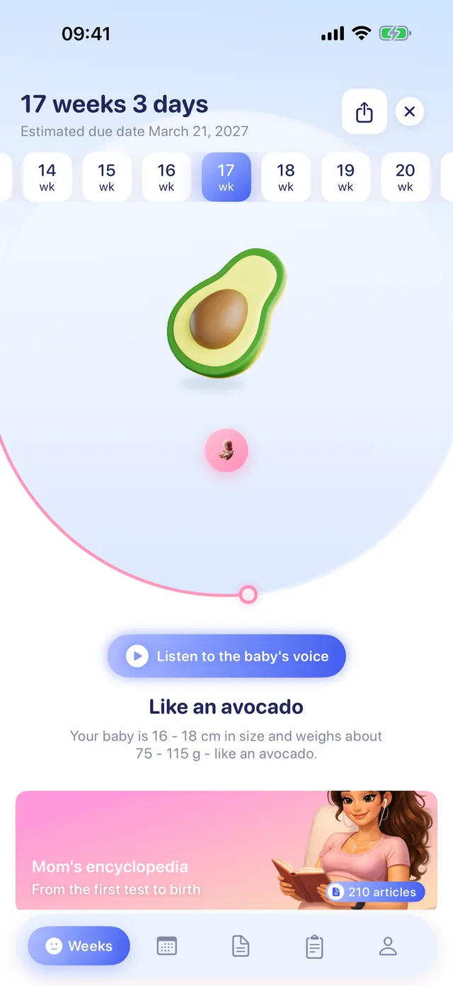 A pregnancy week in GIA: a baby the size of an avocado